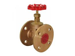 Both Side Flange Valve